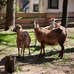 Doppelhaushaelften Im Naturresort בית נופש